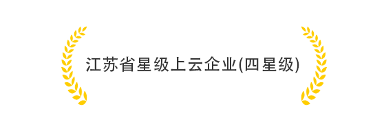 江苏省星级上云企业(四星级)