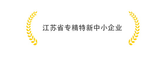 江苏省专精特新中小企业