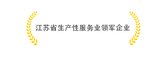 江苏省生产性服务业领军企业